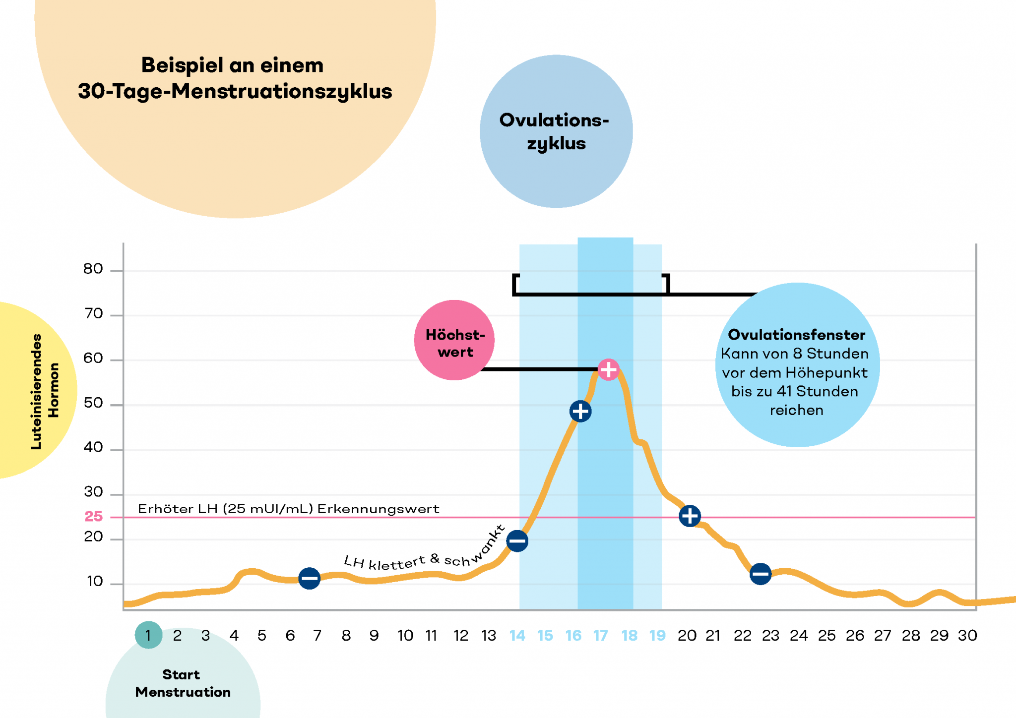 2 Mal Lh Anstieg In Einem Zyklus Fruchtpaar.ch - Ovulationstests Empfindlichkeiten verstehen
