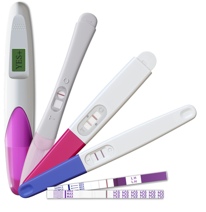 SCHWANGERSCHAFTS L TEST 2026 visual data 6