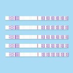 HCG-Teststreifen-FrueherkennungsSchwangerschaftstest_10miu-5