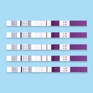 teststreifen-lh-ovulationstest_10miu_20miu_25miu-4